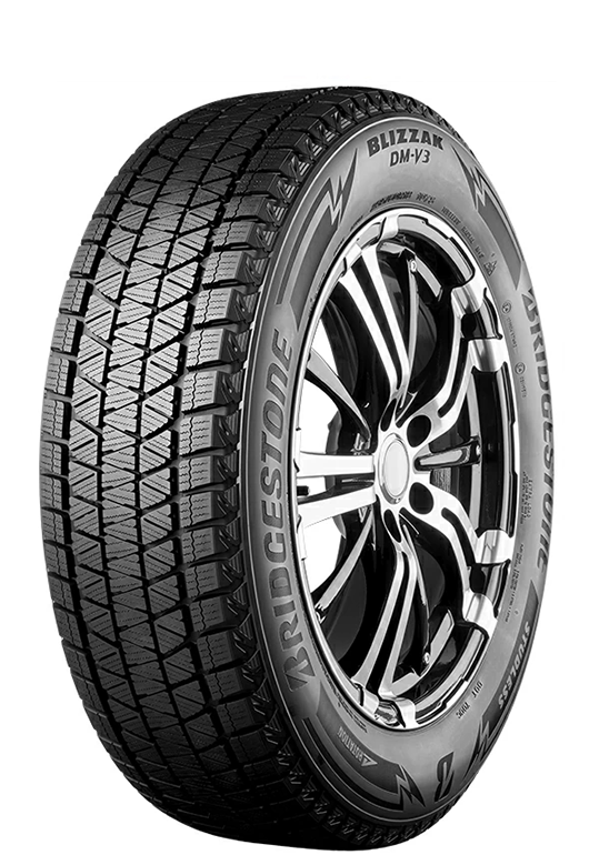 Купити шини Bridgestone Blizzak DM-V3 275/45R21 110T